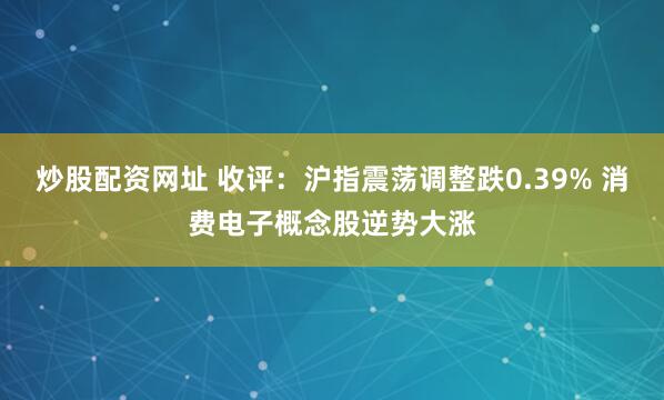 炒股配资网址 收评：沪指震荡调整跌0.39% 消费电子概念股逆势大涨