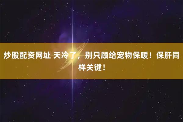 炒股配资网址 天冷了，别只顾给宠物保暖！保肝同样关键！
